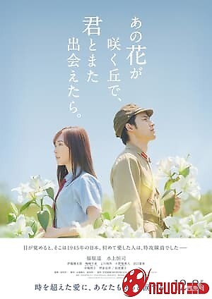 Nếu Gặp Lại Em Trên Ngọn Đồi Hoa Nở