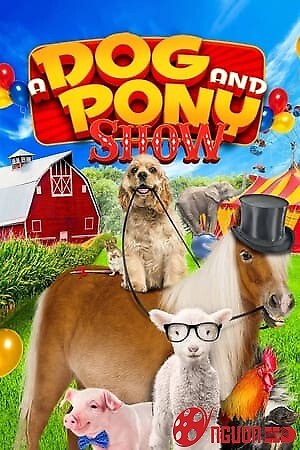 Ngôi Sao Bốn Chân