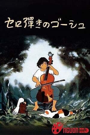 Người Chơi Đàn Cello