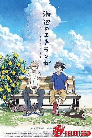 Người Lạ Bên Bờ Biển