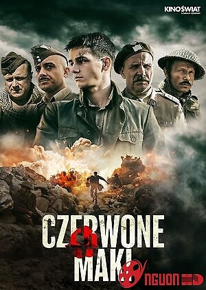 Những Đoá Anh Túc Đỏ