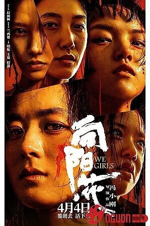 Những Đóa Hoa Hướng Dương