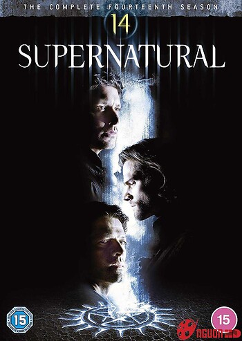 Siêu Nhiên (Phần 14)