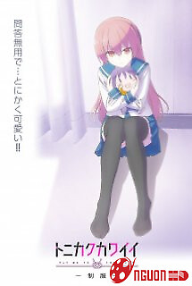 Tonikaku Kawaii: Seifuku