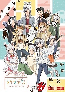 Uchi Tama?! Uchi No Tama Shirimasen Ka?