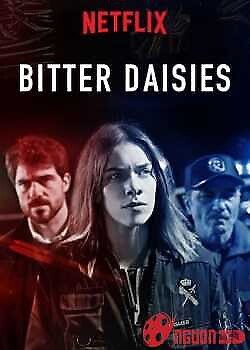 Vị Đắng Của Hoa Cúc (Phần 1)