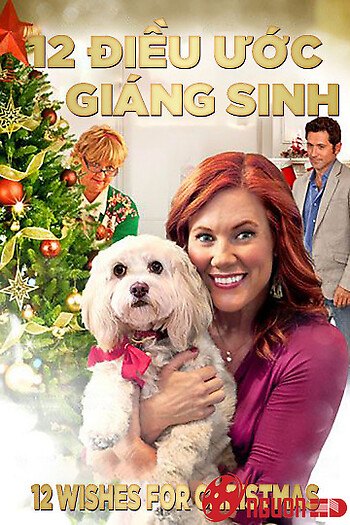 12 Điều Ước Giáng Sinh