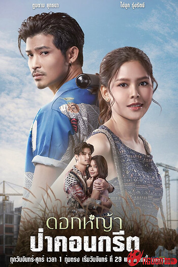 A Wildflower In The City