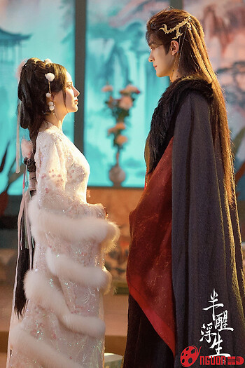 Bán Tỉnh Phù Sinh