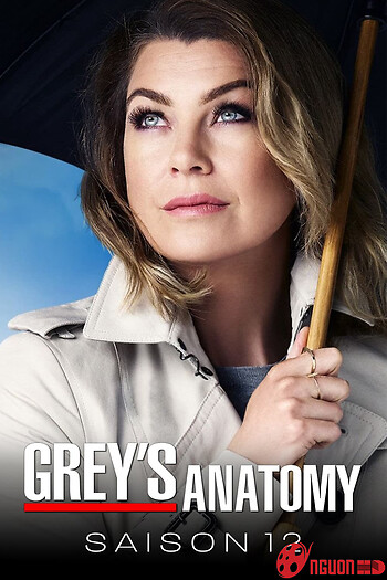 Ca Phẫu Thuật Của Grey (Phần 12)