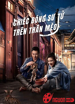 Chiếc Bóng Sư Tử Trên Thân Mèo