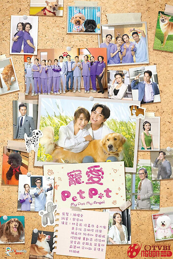 Chó Cưng Của Tôi