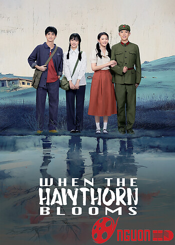 Chuyện Tình Cây Sơn Tra