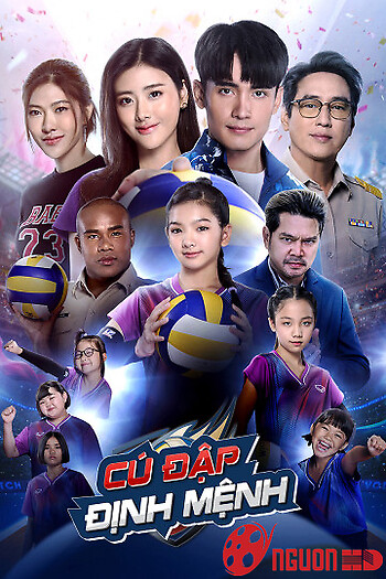 Cú Đập Định Mệnh