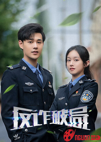 Cuộc Chiến Chống Lừa Đảo