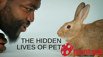 Cuộc Sống Bí Mật Của Thú Cưng