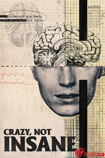 Điên, Không Mất Trí