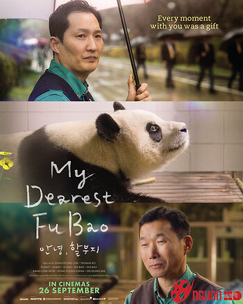 Fu Bao: Bảo Bối Của Ông