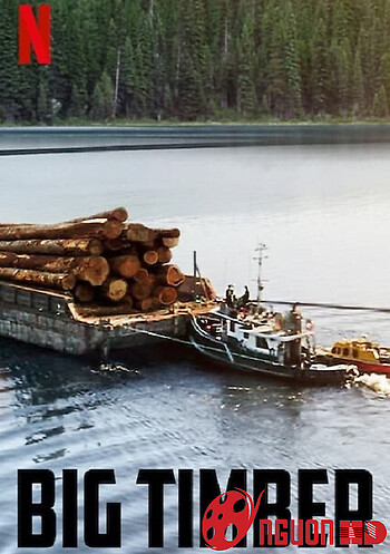 Gỗ Lớn (Phần 2)