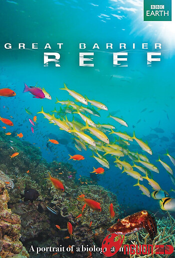 Great Barrier Reef