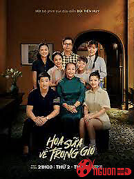 Hoa Sữa Về Trong Gió