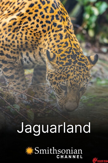 Jaguarland