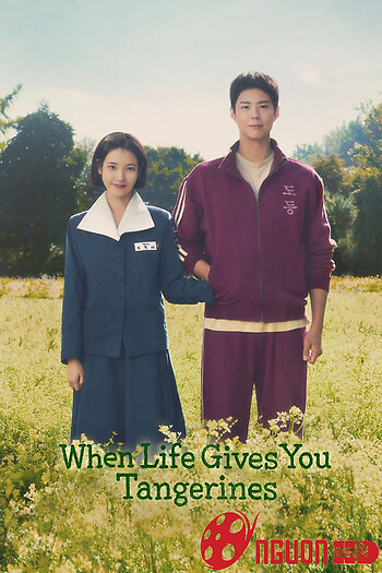 Khi Cuộc Đời Cho Bạn Quả Quýt