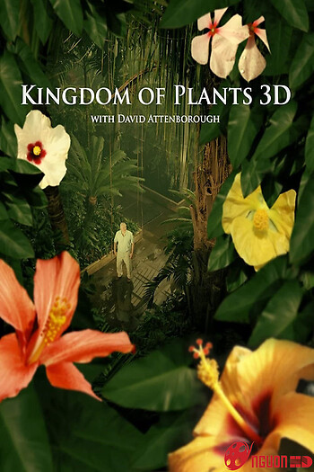 Kingdom Of Plants