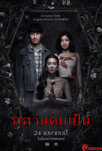 Nghĩa Địa Của Người Sống