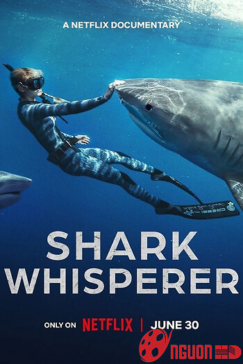 Người Bạn Của Cá Mập