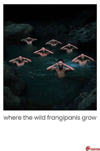 Nơi Hoa Sứ Dại Mọc