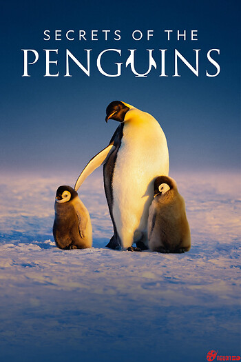 Secrets Of The Penguins