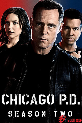 Sở Cảnh Sát Chicago (Phần 2)