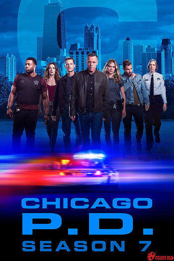 Sở Cảnh Sát Chicago (Phần 7)