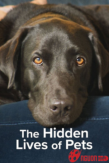 The Secret Life Of Our Pets