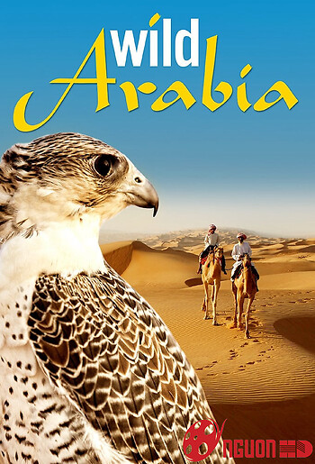 Thiên Nhiên Hoang Dã Ả Rập