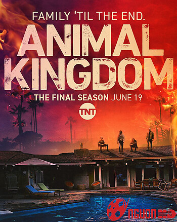 Vương Quốc Động Vật (Phần 6)