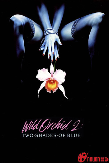 Wild Orchid Ii: Two Shades Of Blue