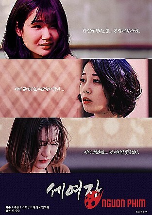 Ba Người Phụ Nữ