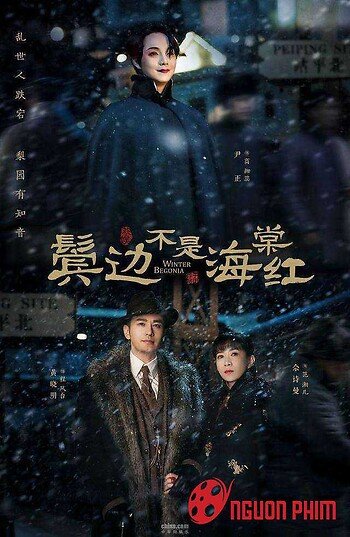 Bên Tóc Mai Không Phải Hải Đường Hồng