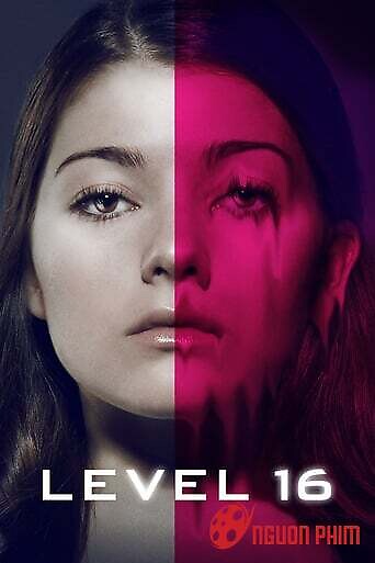 Cấp 16