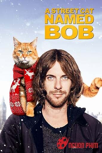 Chú Mèo Đường Phố