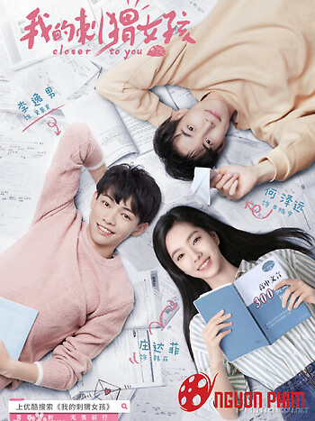 Cô Gái Nhím Của Tôi