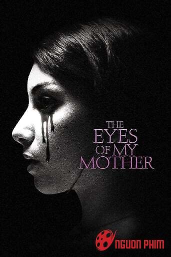 Đôi Mắt Của Mẹ