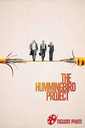 Dự Án Chim Ruồi