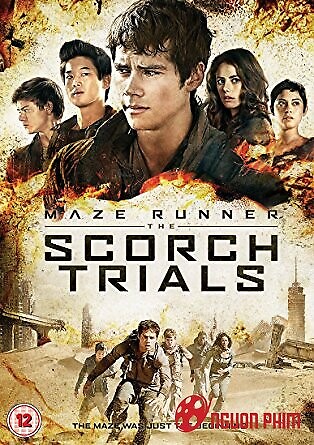 Giải Mã Mê Cung 2: Thử Nghiệm Đất Cháy