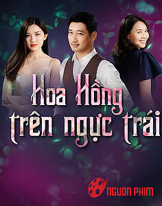 Hoa Hồng Trên Ngực Trái