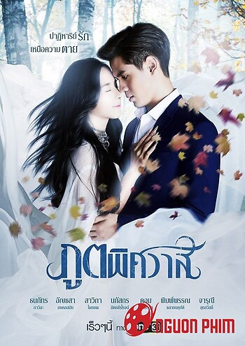 Linh Hồn Tình Yêu