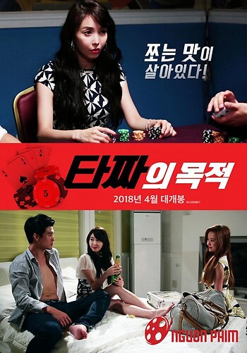 Mục Đích Của Taj