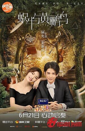 Ốc Sên Và Chim Vàng Anh